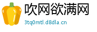吹网欲满网